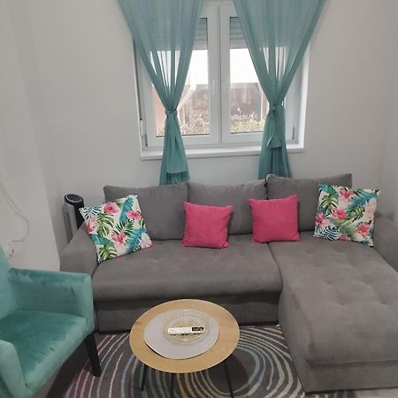Apartman Radovic Smederevo Bagian luar foto