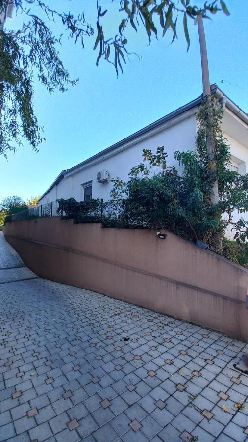 Apartman Radovic Smederevo Bagian luar foto