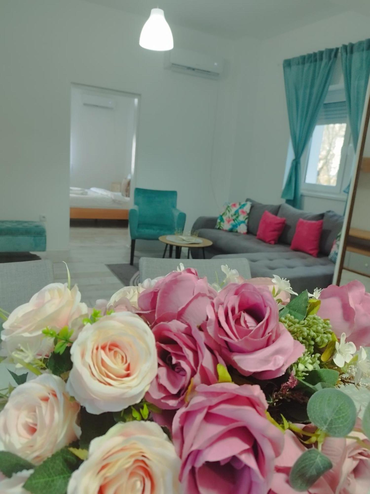 Apartman Radovic Smederevo Bagian luar foto